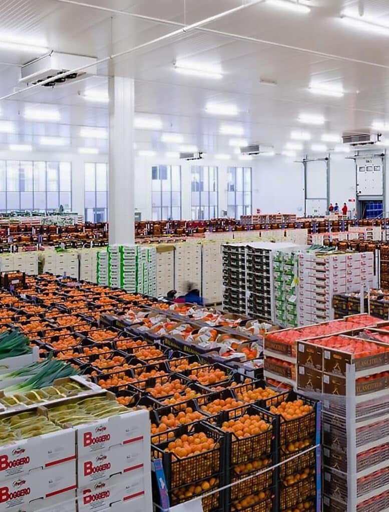 vegetable cold storage 03 777x1024