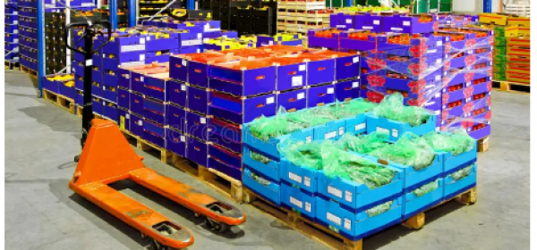 screenshot 2026 02 12 115804